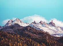 中国足协官宣：马晓旭出任中国U17女足主教练