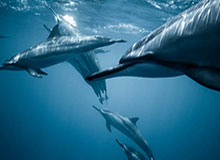 中国足协官宣：马晓旭出任中国U17女足主教练